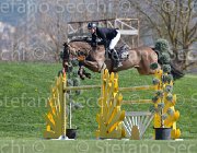 Wriering World Wide TosTour2013- S5 2768 : Arezzo, Arezzo Equestrian Centre, Toscana Tour 2013, Wiering Harrie, World wide, foto di Stefano Secchi ©